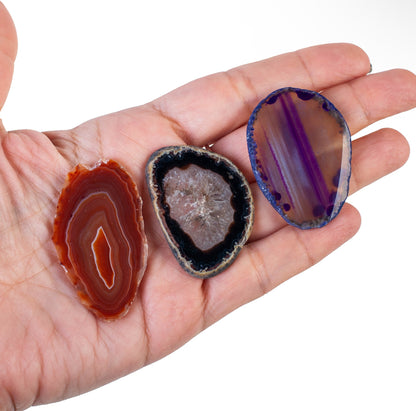 Spooky Agate Slice Bundle