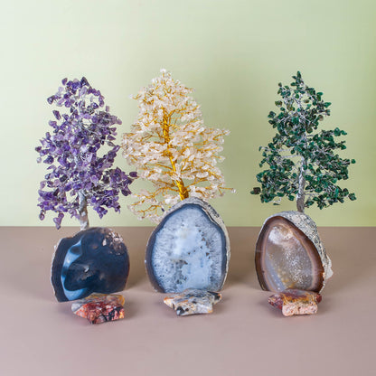 Declan's Monthly Subscription Box