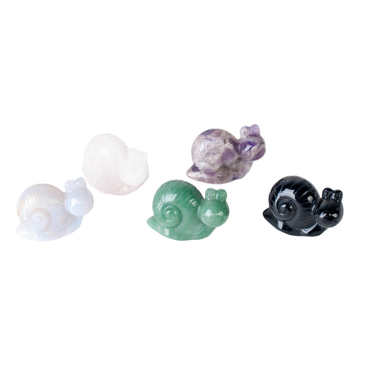 Mystery Crystal Snail