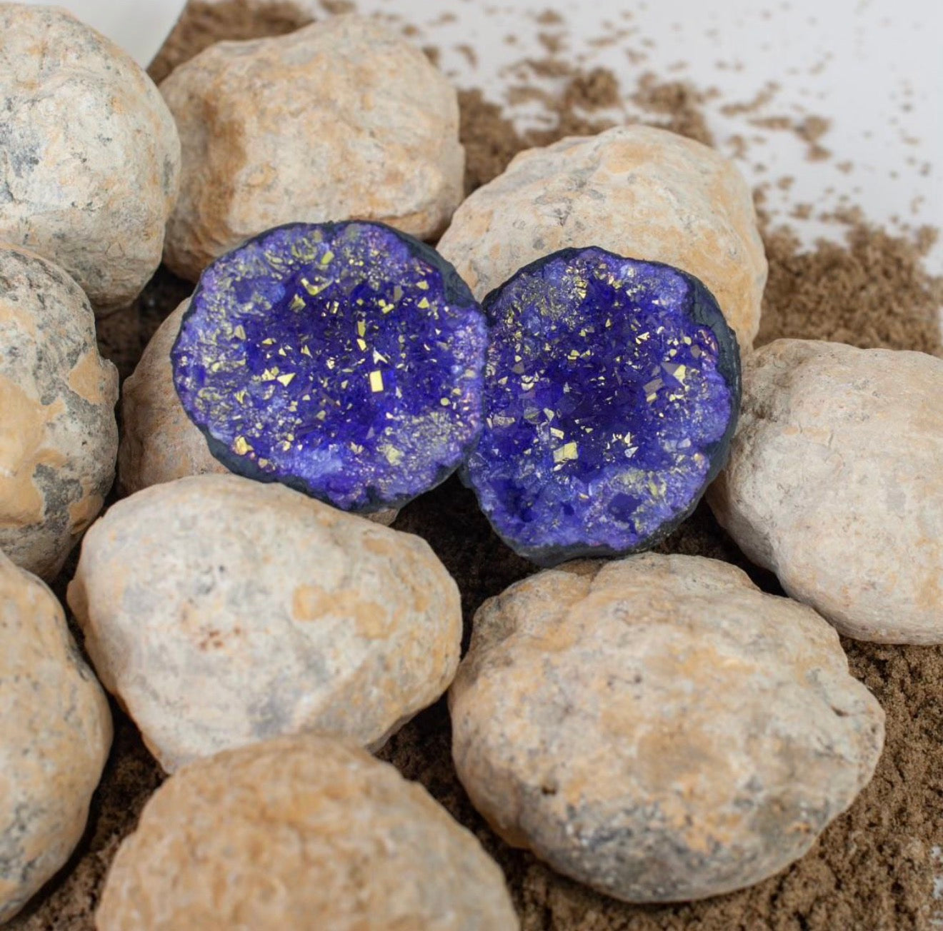 Gallon Bucket of Quartz Geodes w/ One Colored Geode