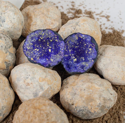 Gallon Bucket of Quartz Geodes w/ One Colored Geode