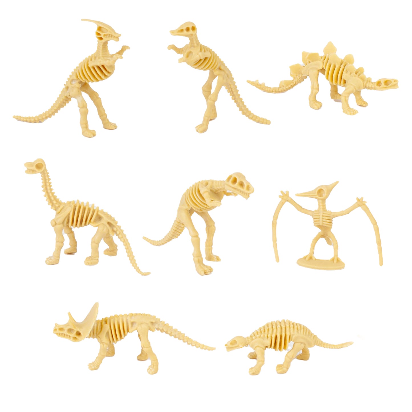 2 Fossil Dinos