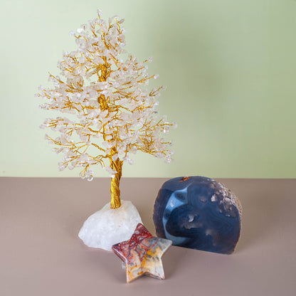 Declan's Monthly Subscription Box