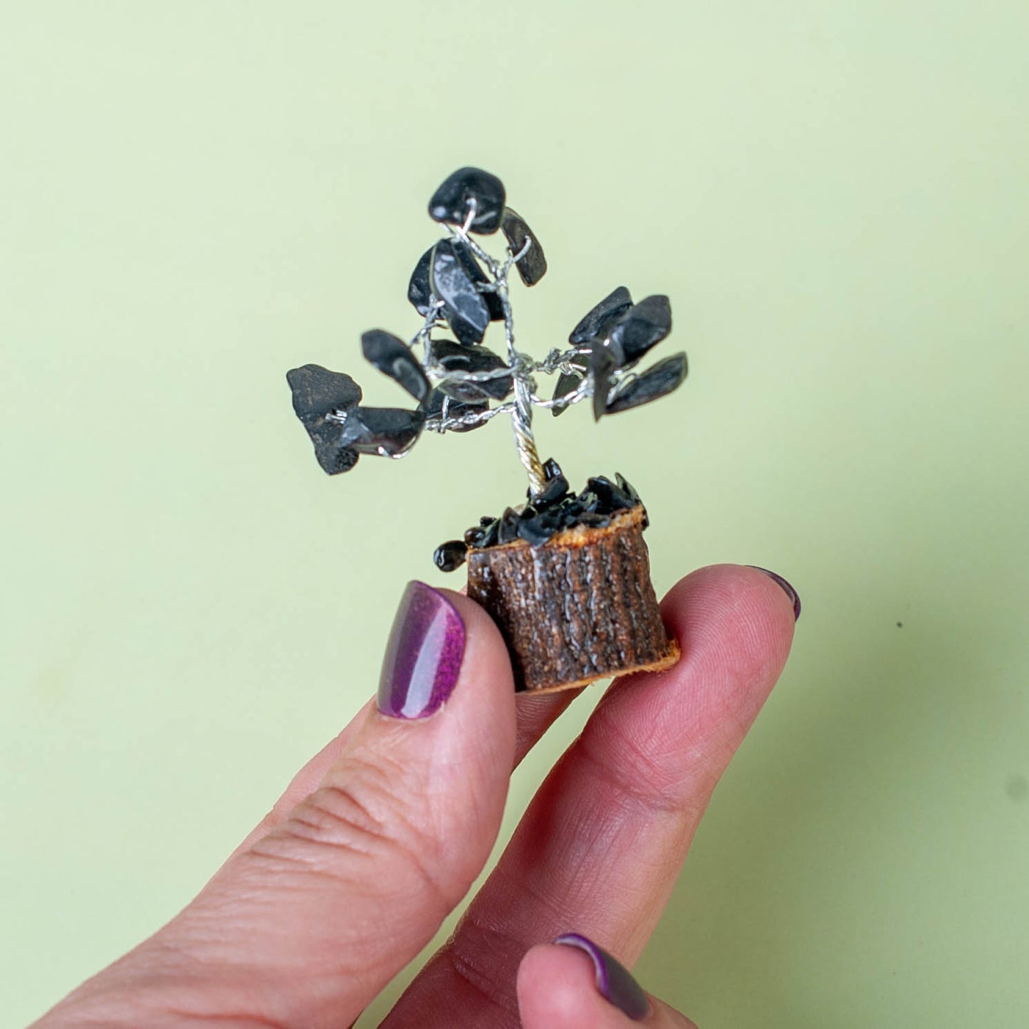 New and Improved -The Zen Garden