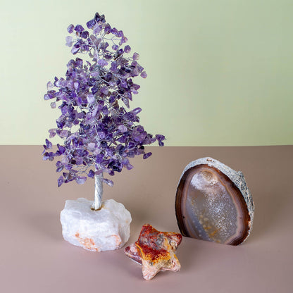 Declan's Monthly Subscription Box