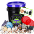 2026 Halloween Big Dig