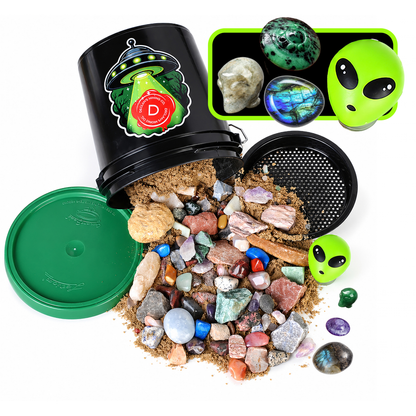 2026 Halloween Gallon Bucket