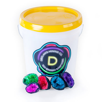 Neon Gallon Bucket
