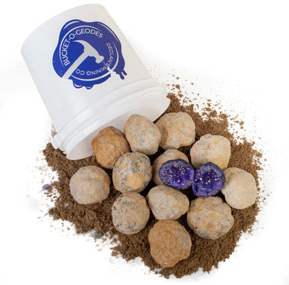 Gallon Bucket of Quartz Geodes w/ One Colored Geode