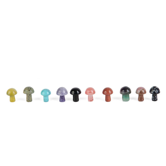 Mini Mushroom