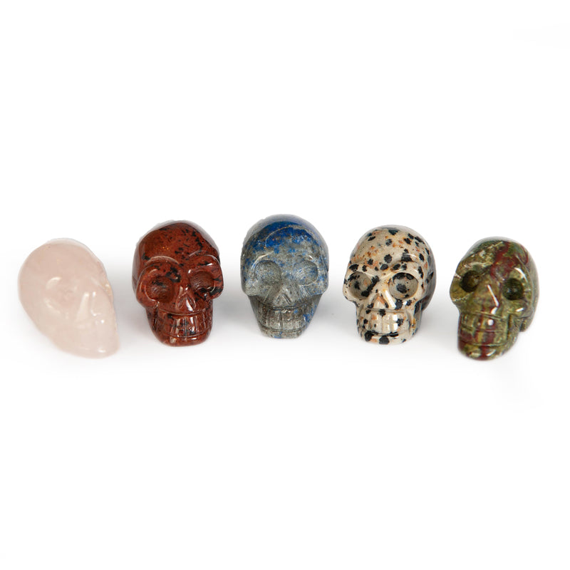 Mystery Skull