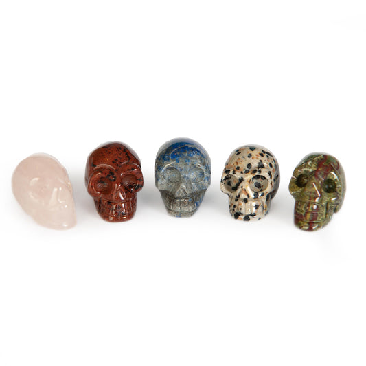 Mystery Skull