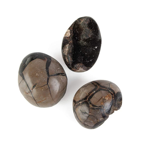 Septarian Egg