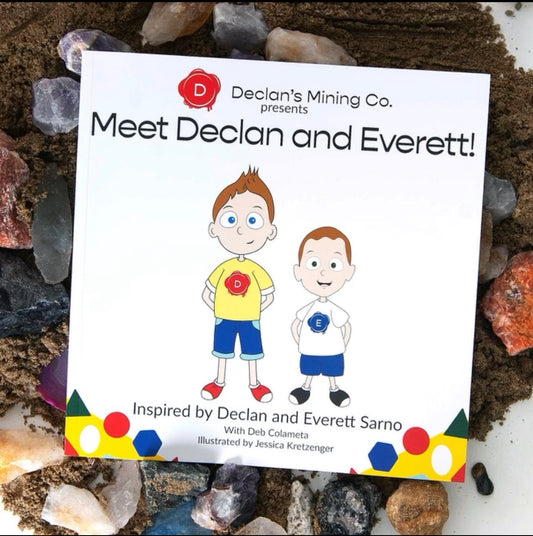 Meet Declan & Everett Book